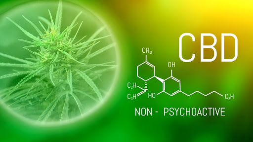 An illustration breaking down CBD properties.